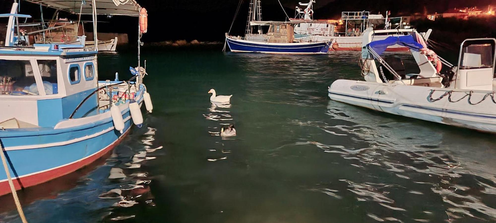 Sea And Sun Apartments 303 Ιδιωτικό Διαμέρισμα カルダミリ エクステリア 写真